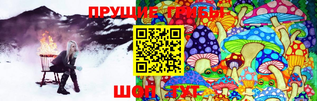 Брянск  Псилоцибиновые грибы MAGIC MUSHROOMS  Псилоцибиновые грибы мухоморы  Вход с VPN 